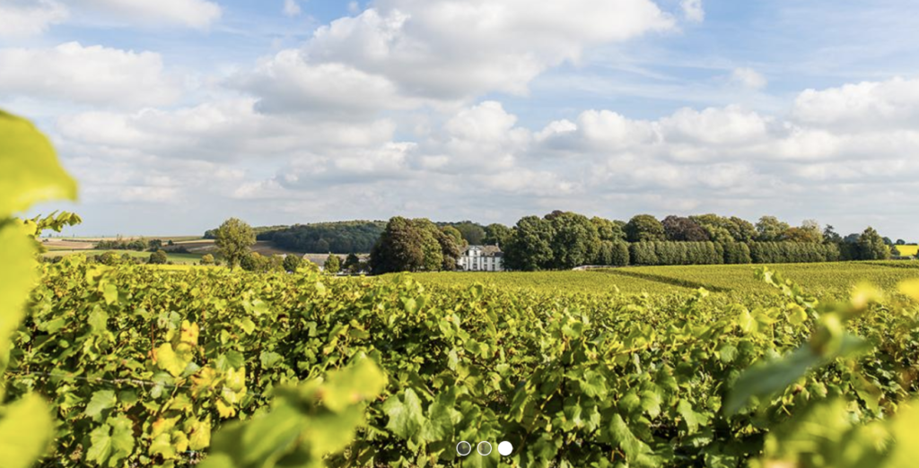 Château viticole Genoels-Elderen (Riemst, Limbourg)
